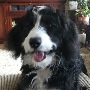 Meet your Posher, Jodi